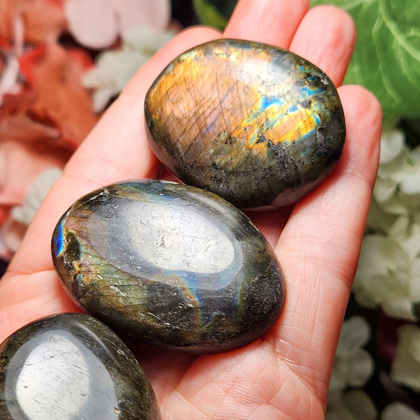 Spectrolite Palm
