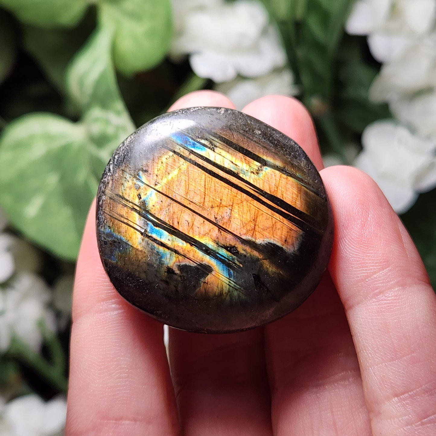 Spectrolite Palm