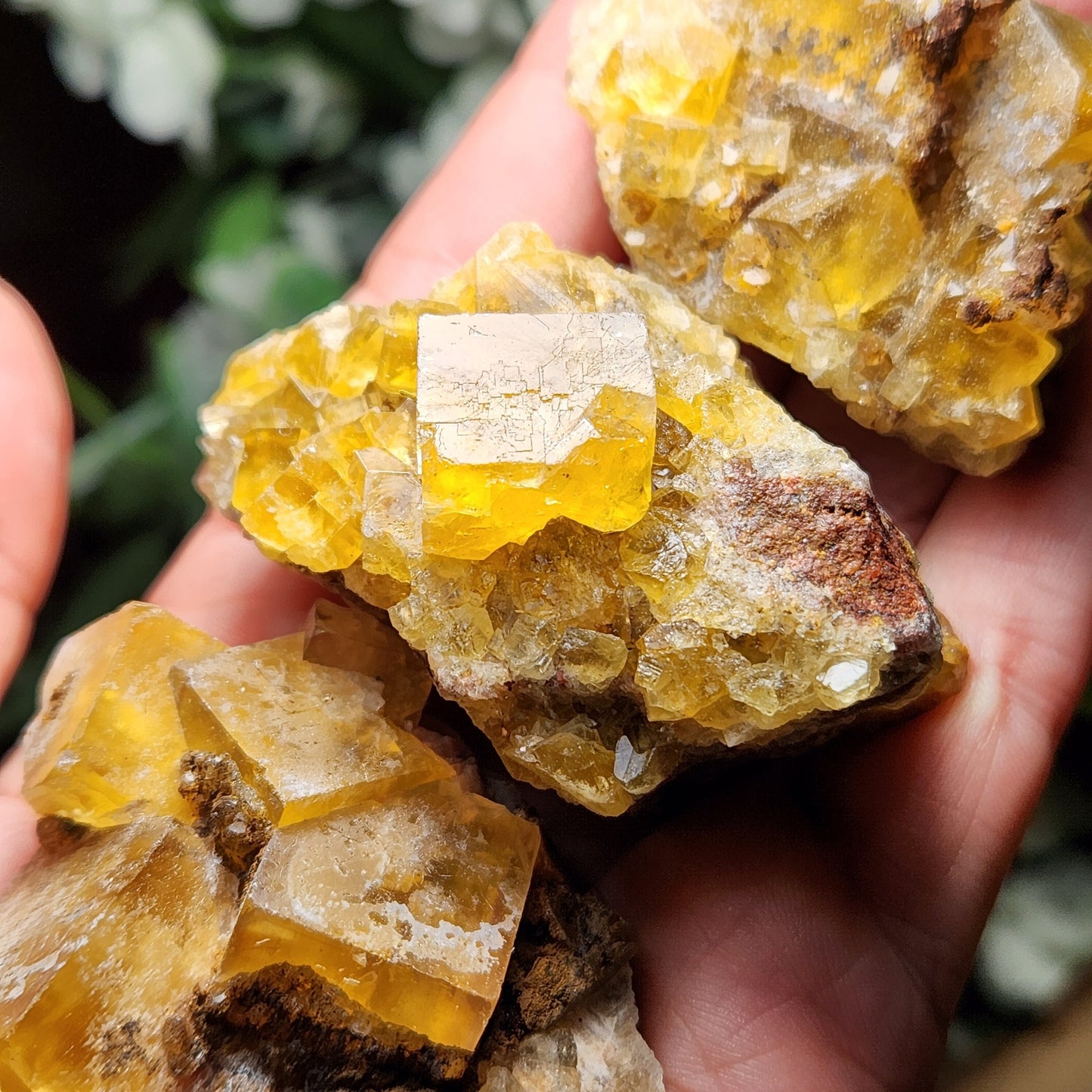 Yellow Fluorite Cluster
