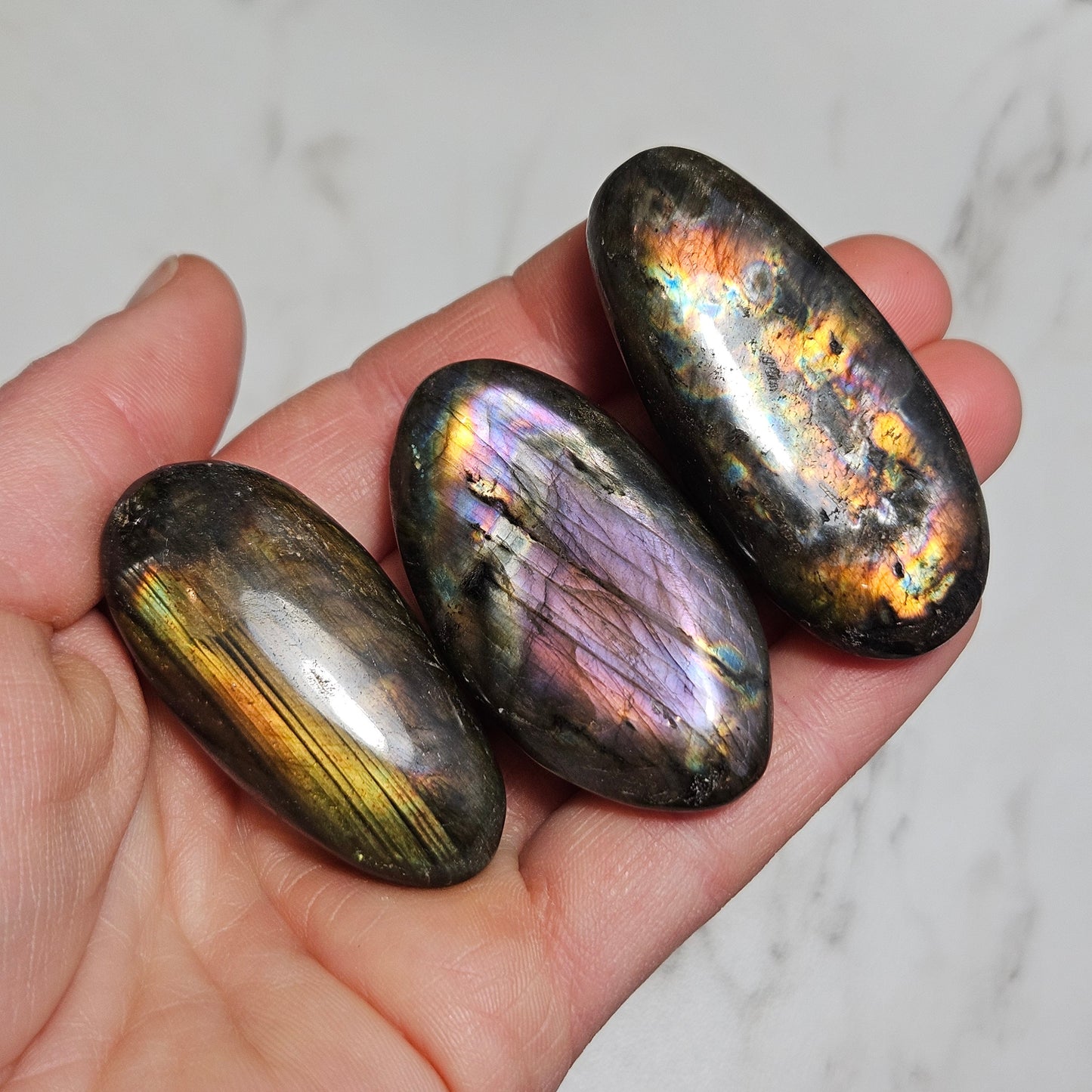 Spectrolite Palm