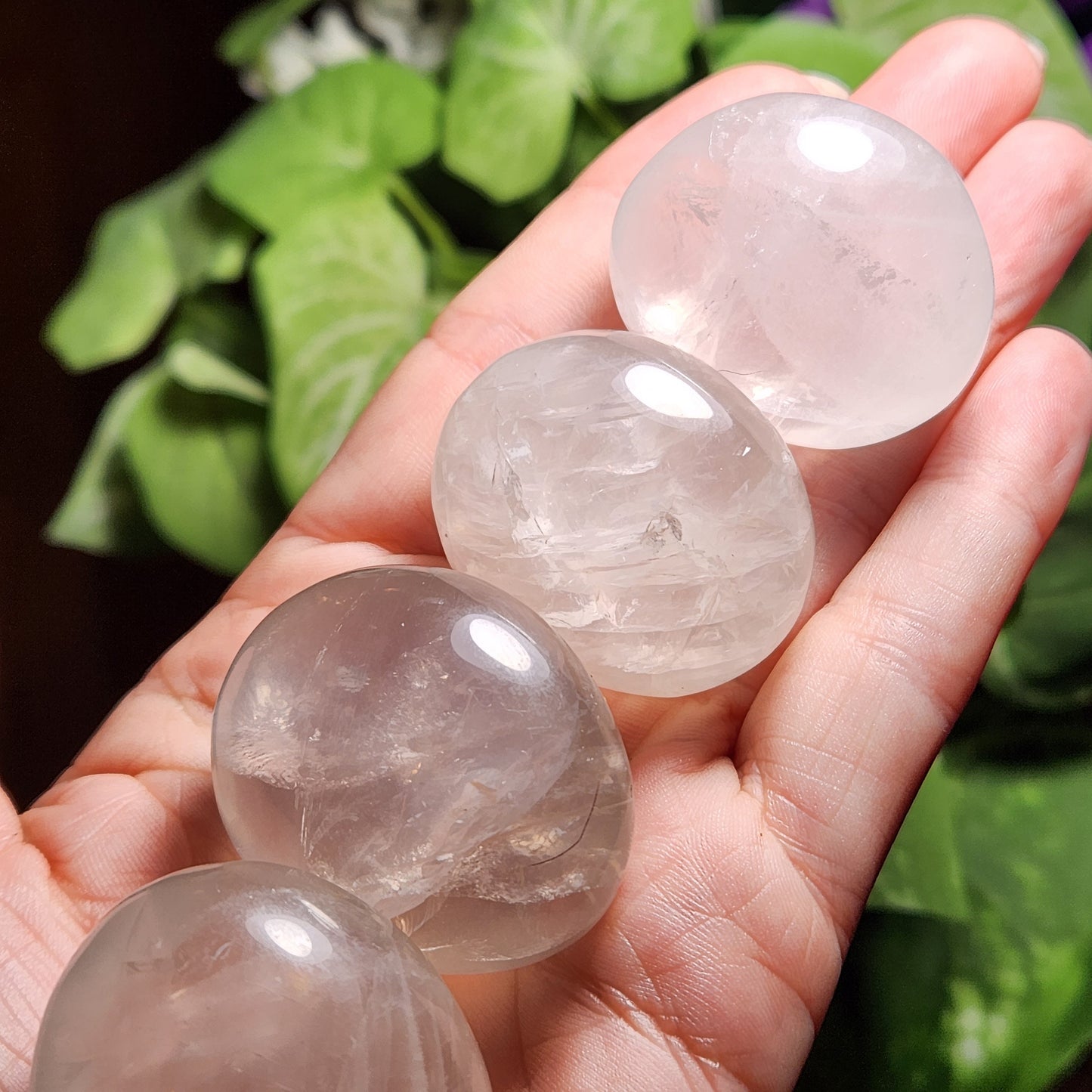 Girasol Quartz