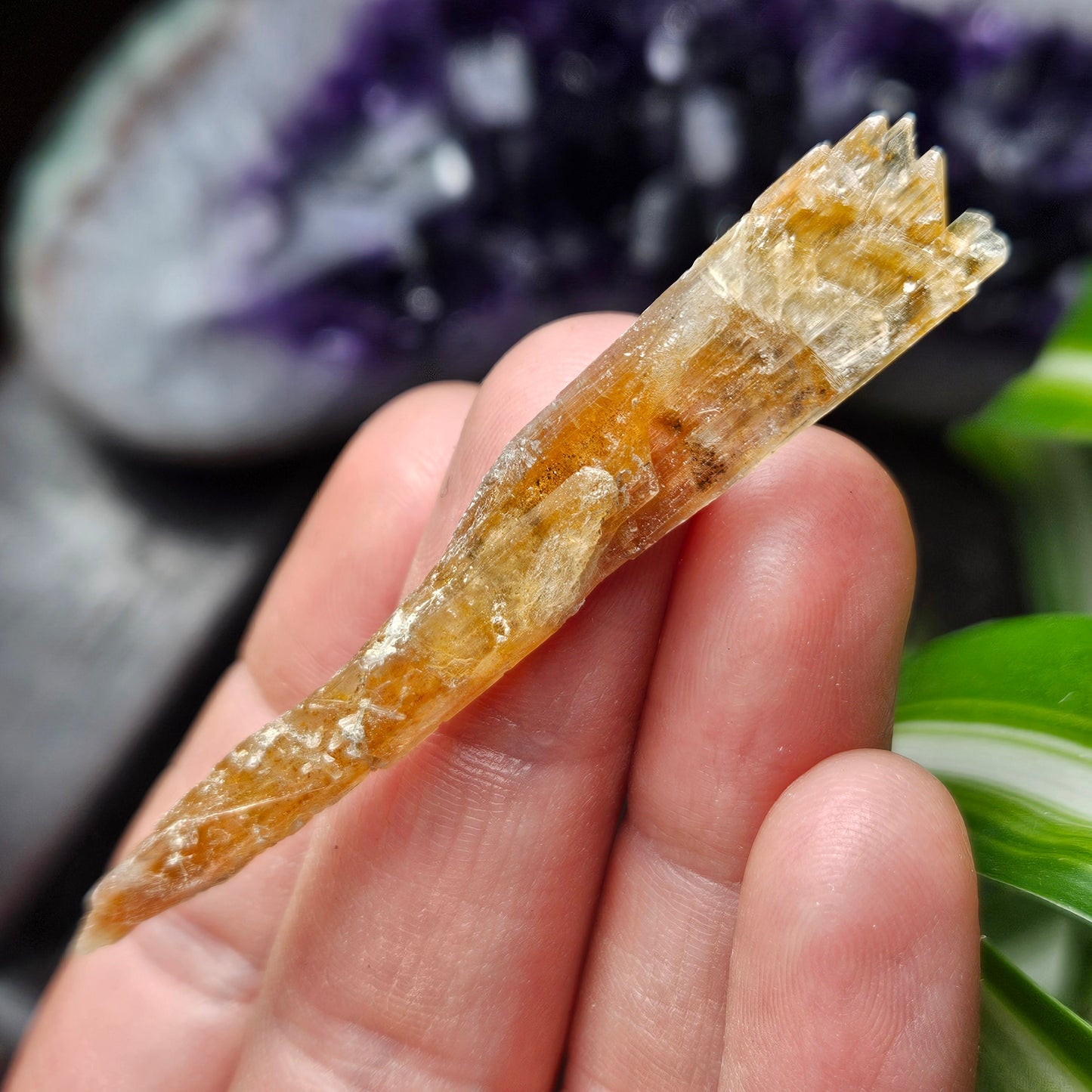 FISHTAIL Selenite