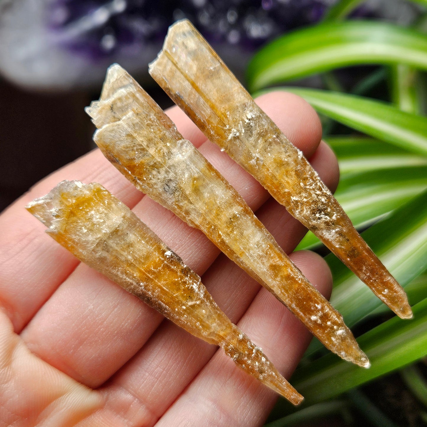 FISHTAIL Selenite