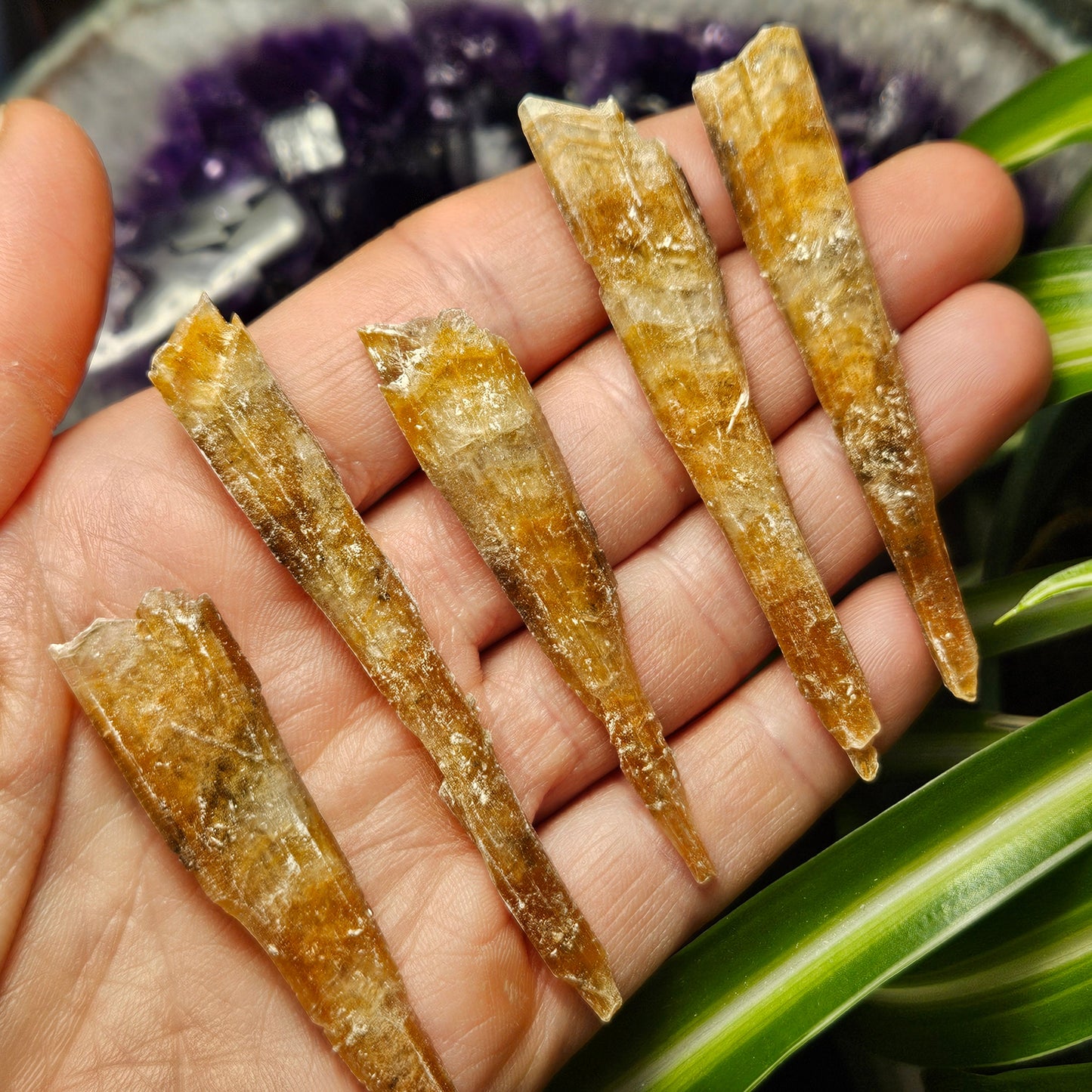 FISHTAIL Selenite