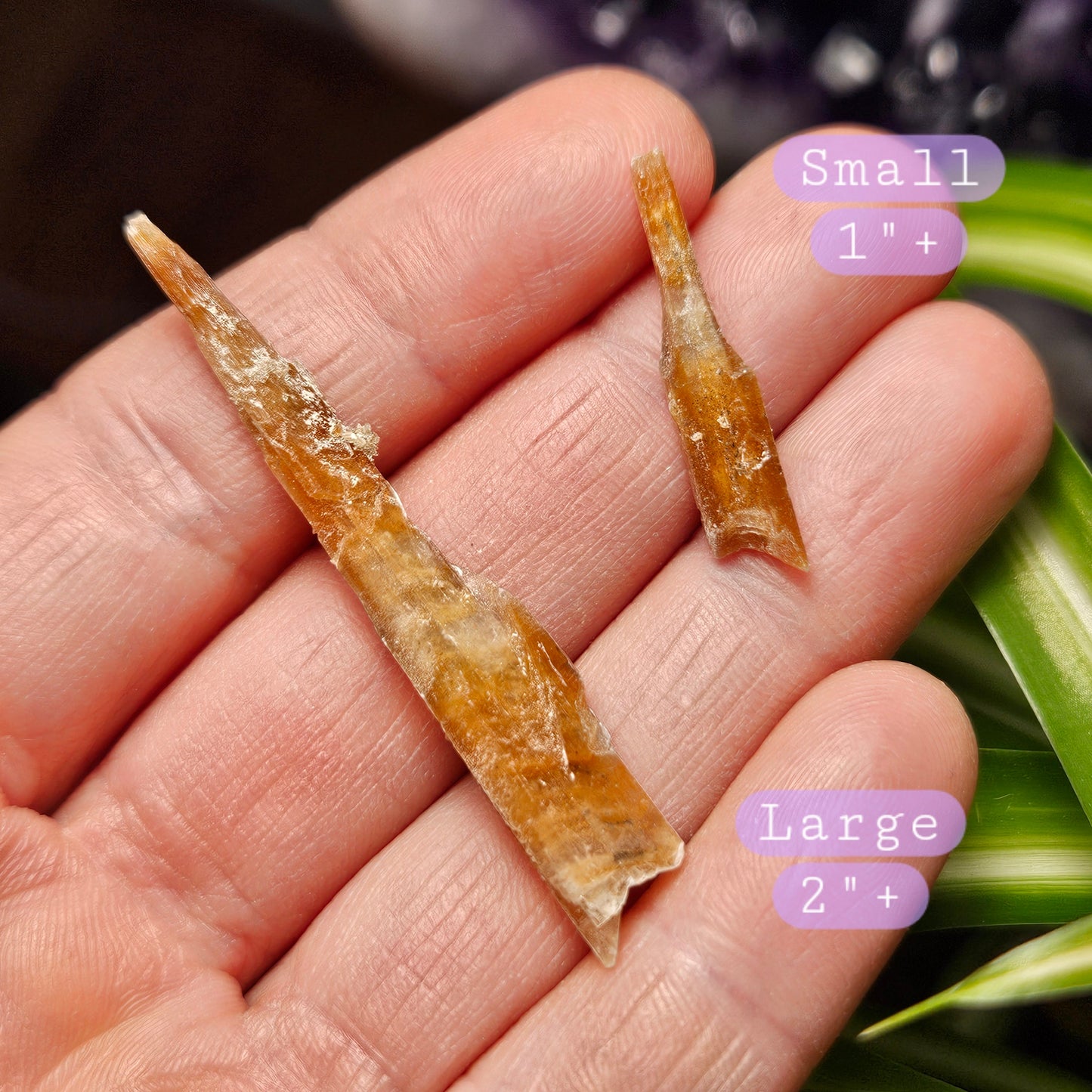FISHTAIL Selenite