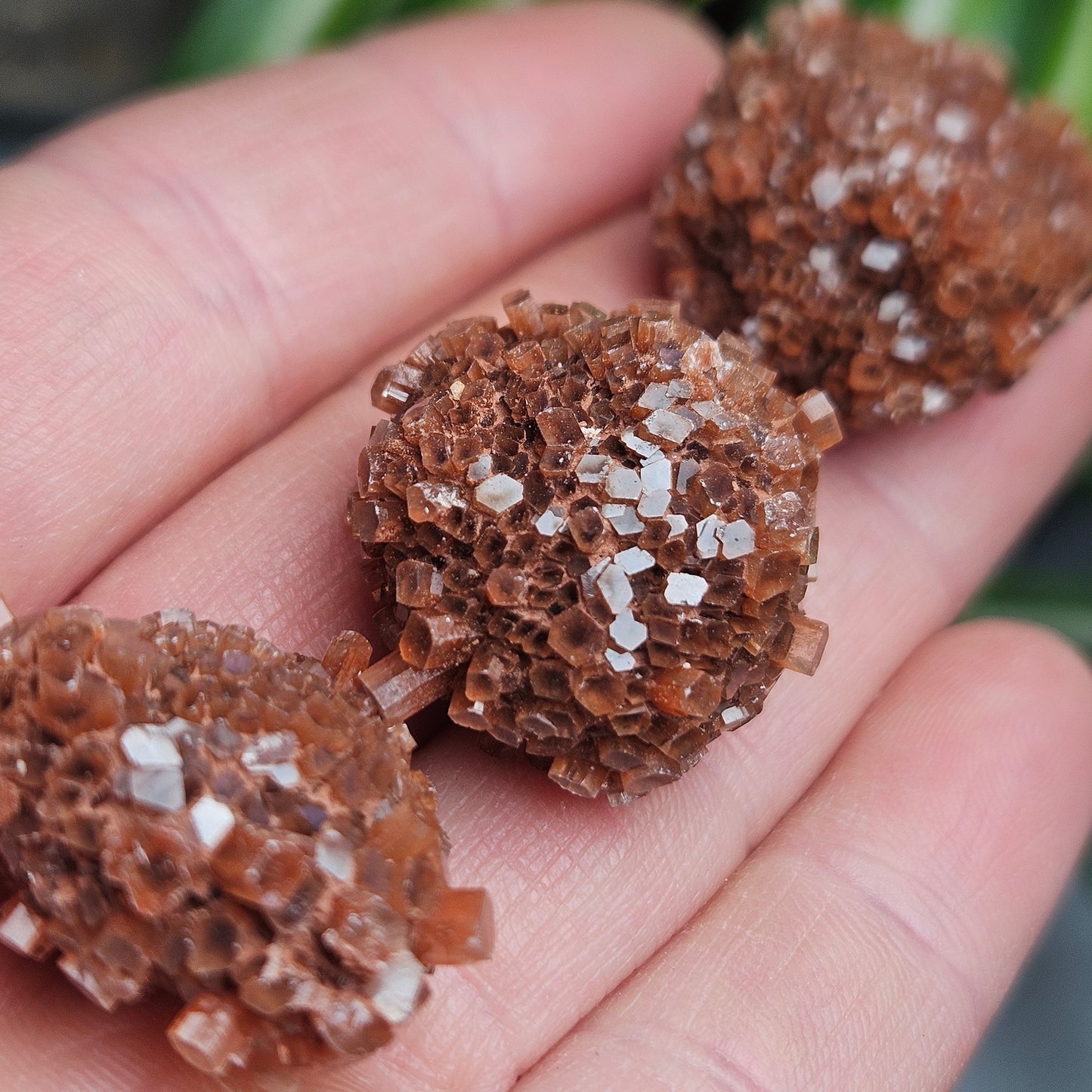 Aragonite Star Cluster