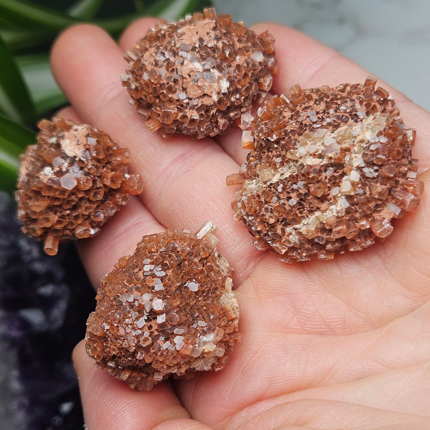 Aragonite Star Cluster