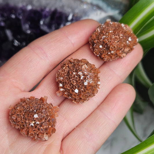 Aragonite Star Cluster