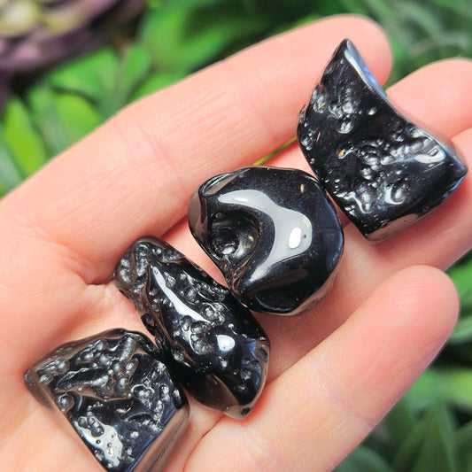 Polished Tektite