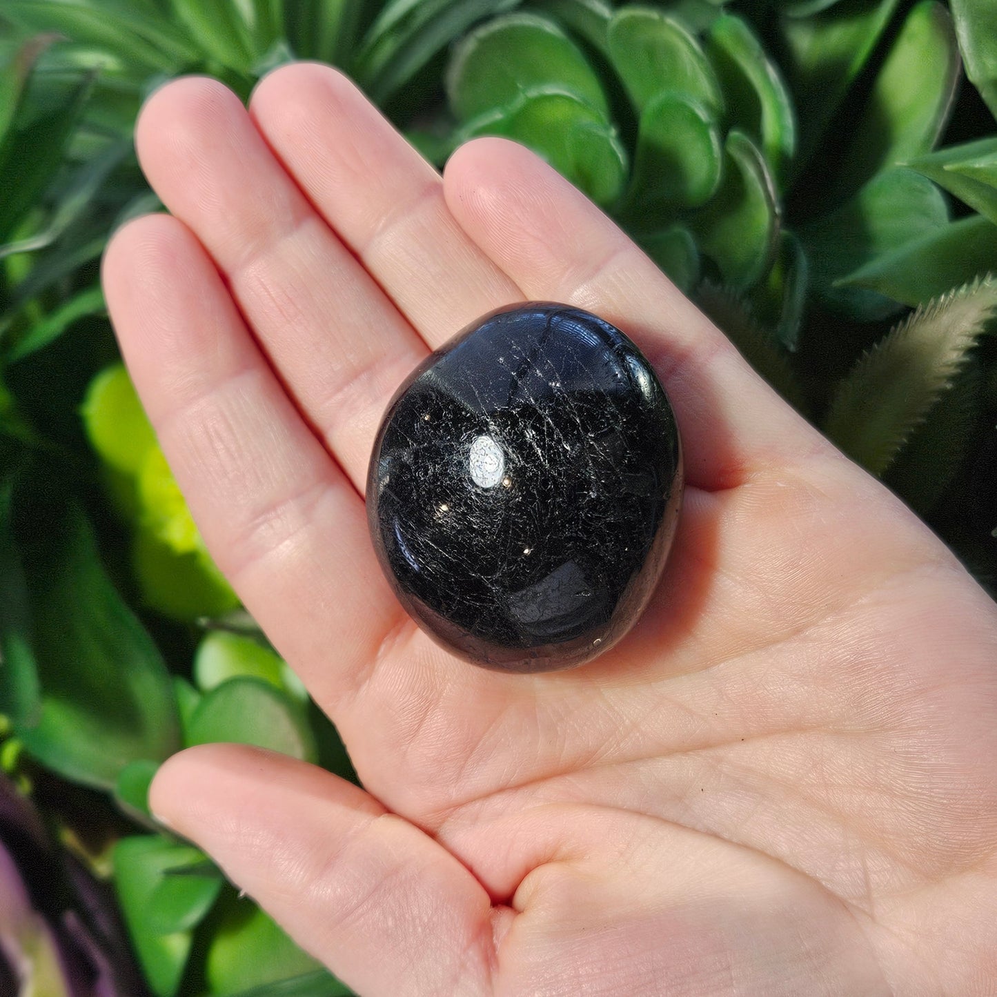 Black Tourmaline Palm Stone