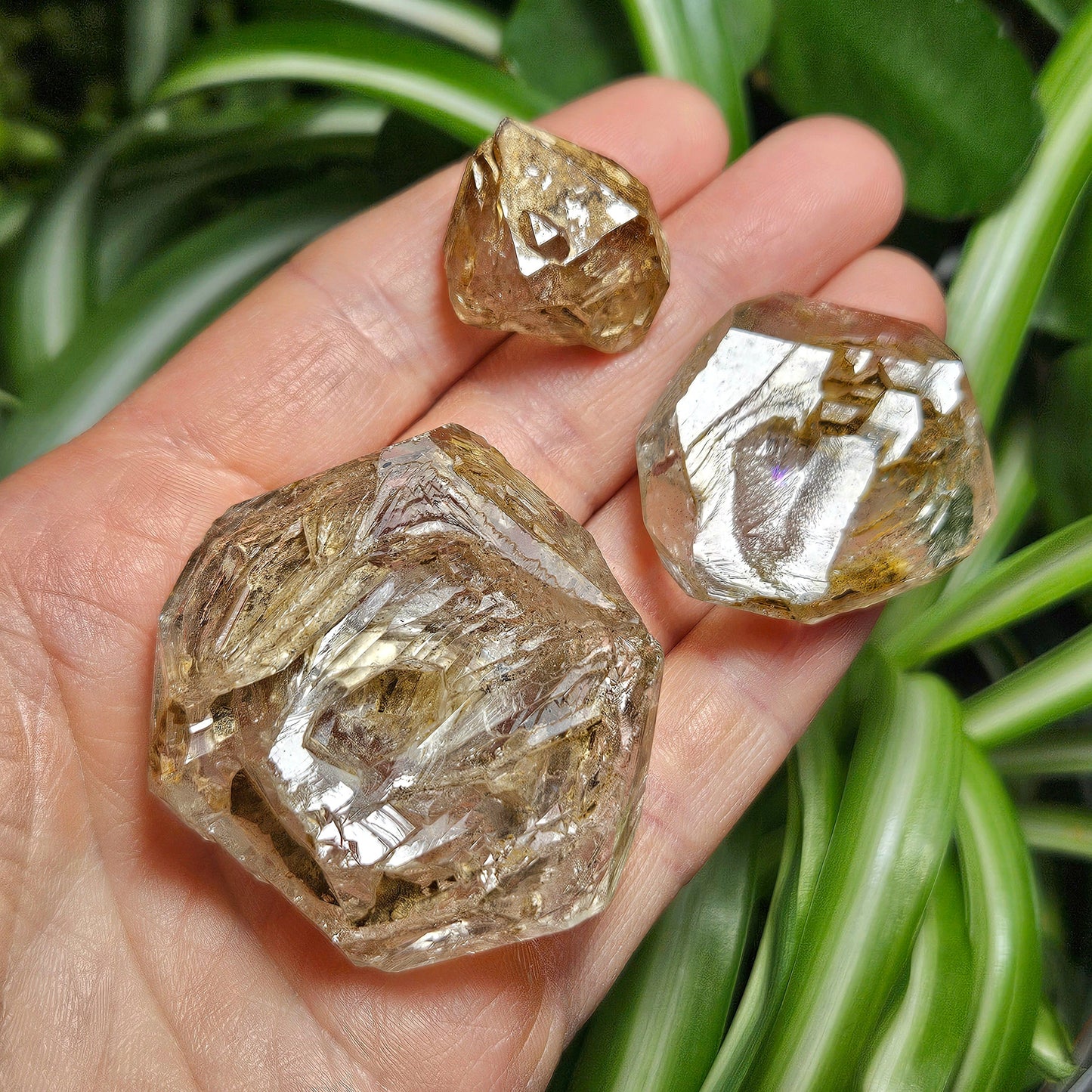 Enhydro Petroleum Quartz