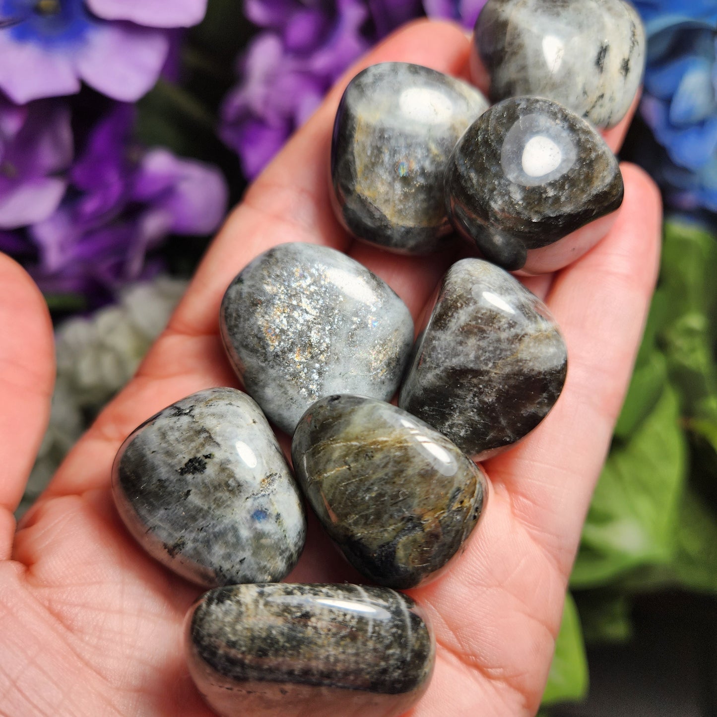 Anorthosite Crystal