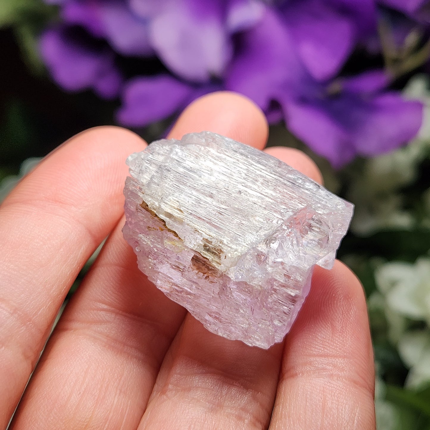 XL Kunzite Crystal