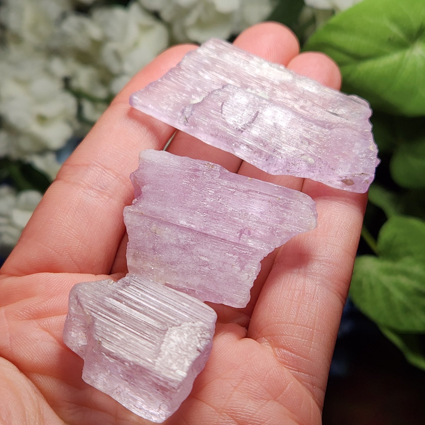 XL Kunzite Crystal