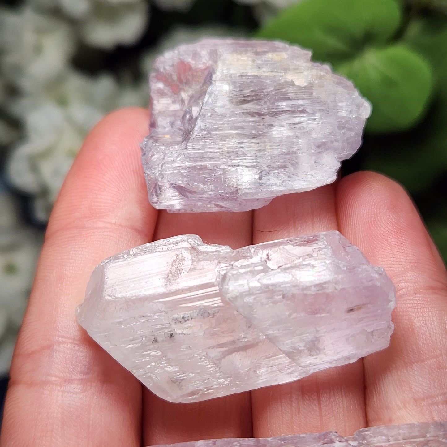 XL Kunzite Crystal
