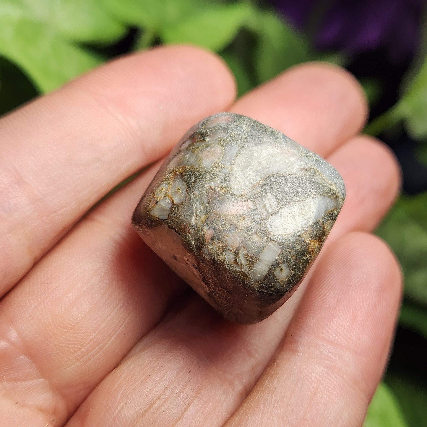 Crinoid Fossil
