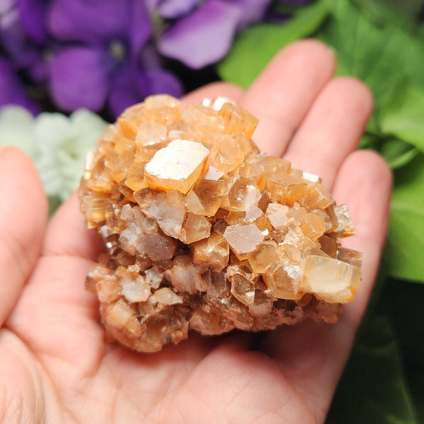 Aragonite Star Cluster