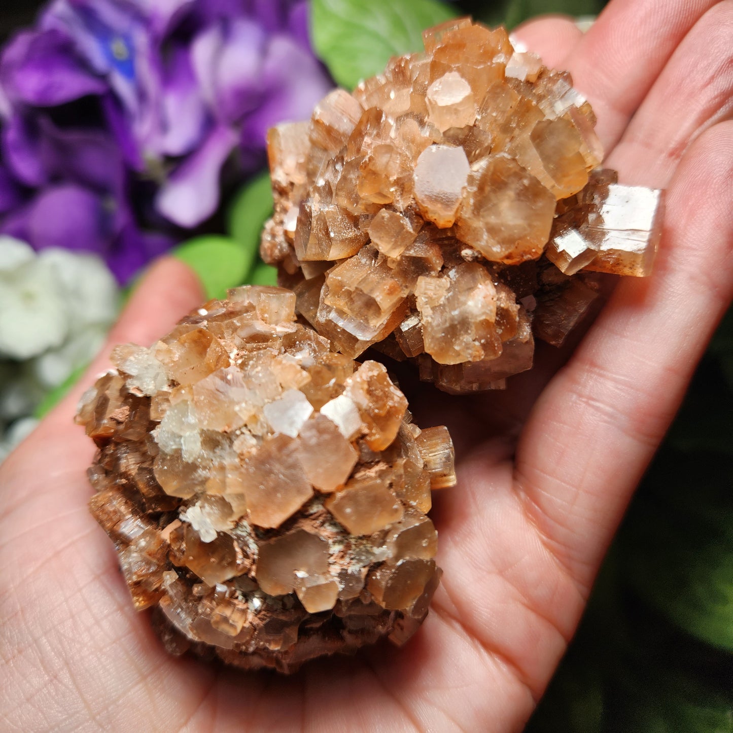 Aragonite Star Cluster