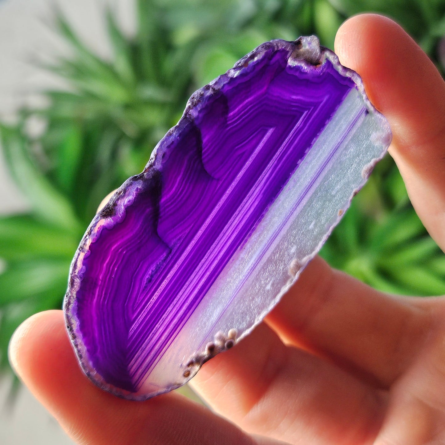 Purple Geode