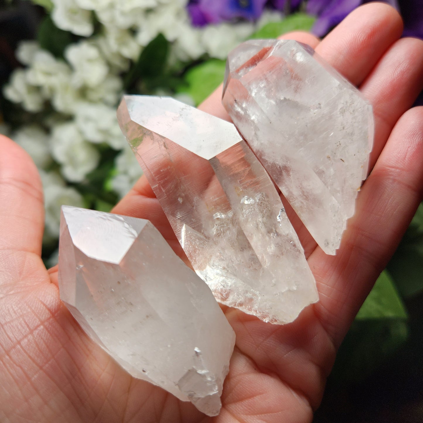 Lemurian Seed Crystal