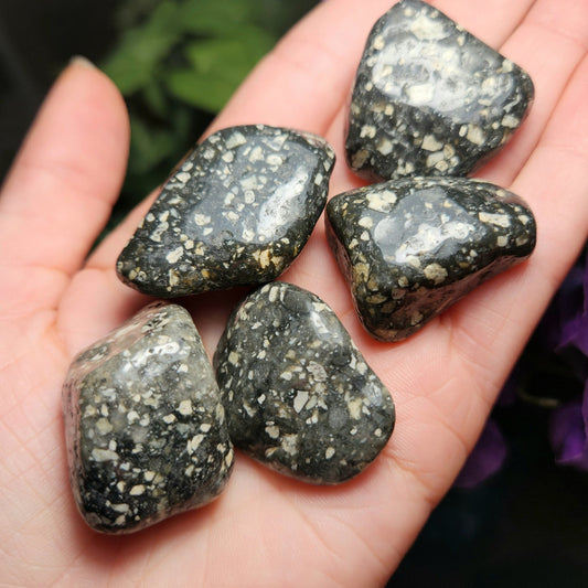 Black Leopard Jasper