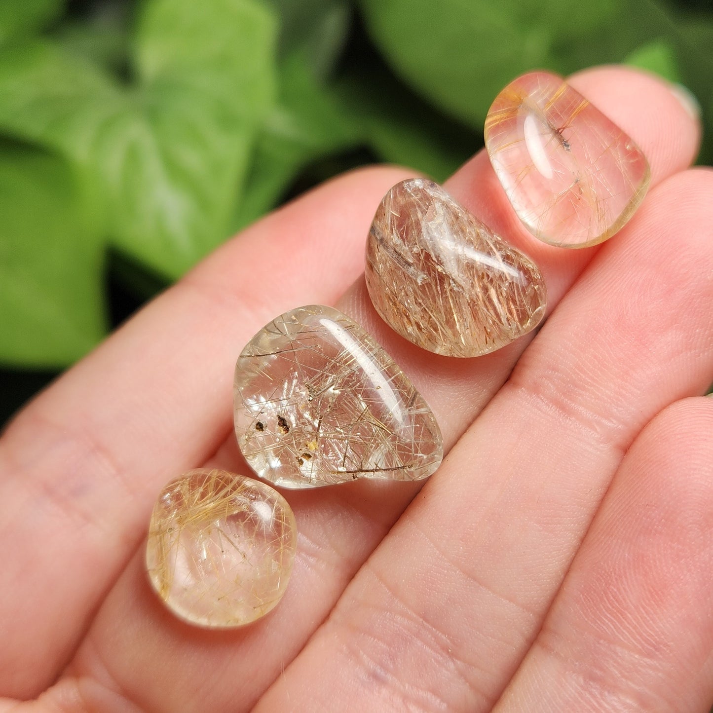 Rutilated Quartz