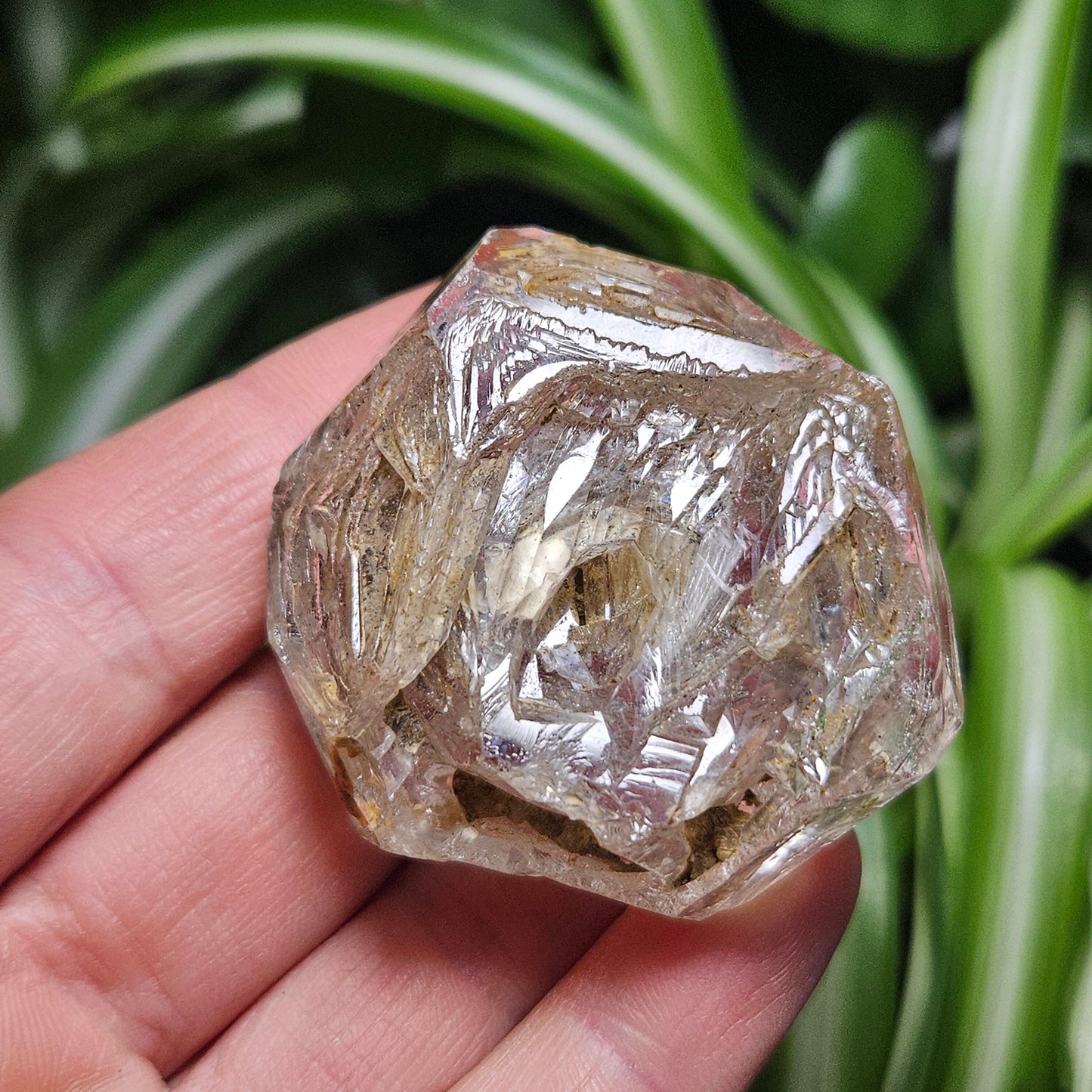 Enhydro Petroleum Quartz