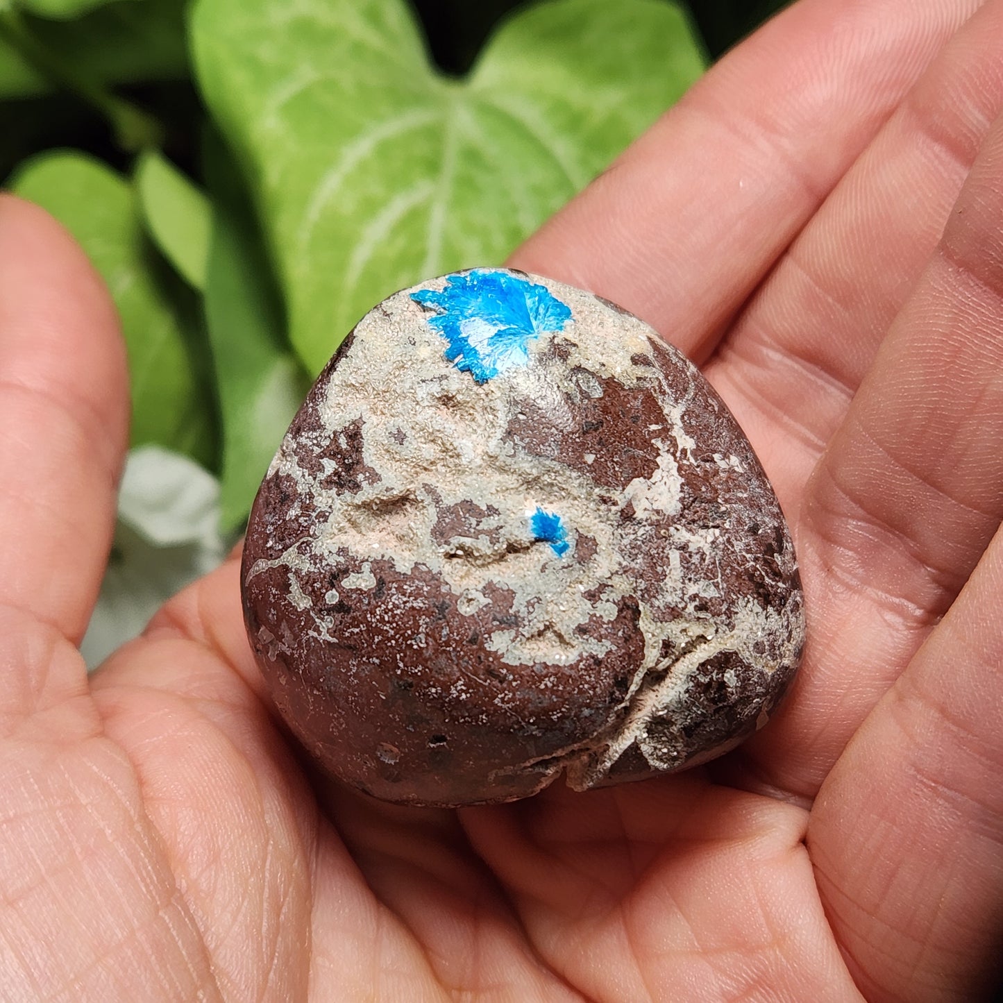 Cavansite Specimen