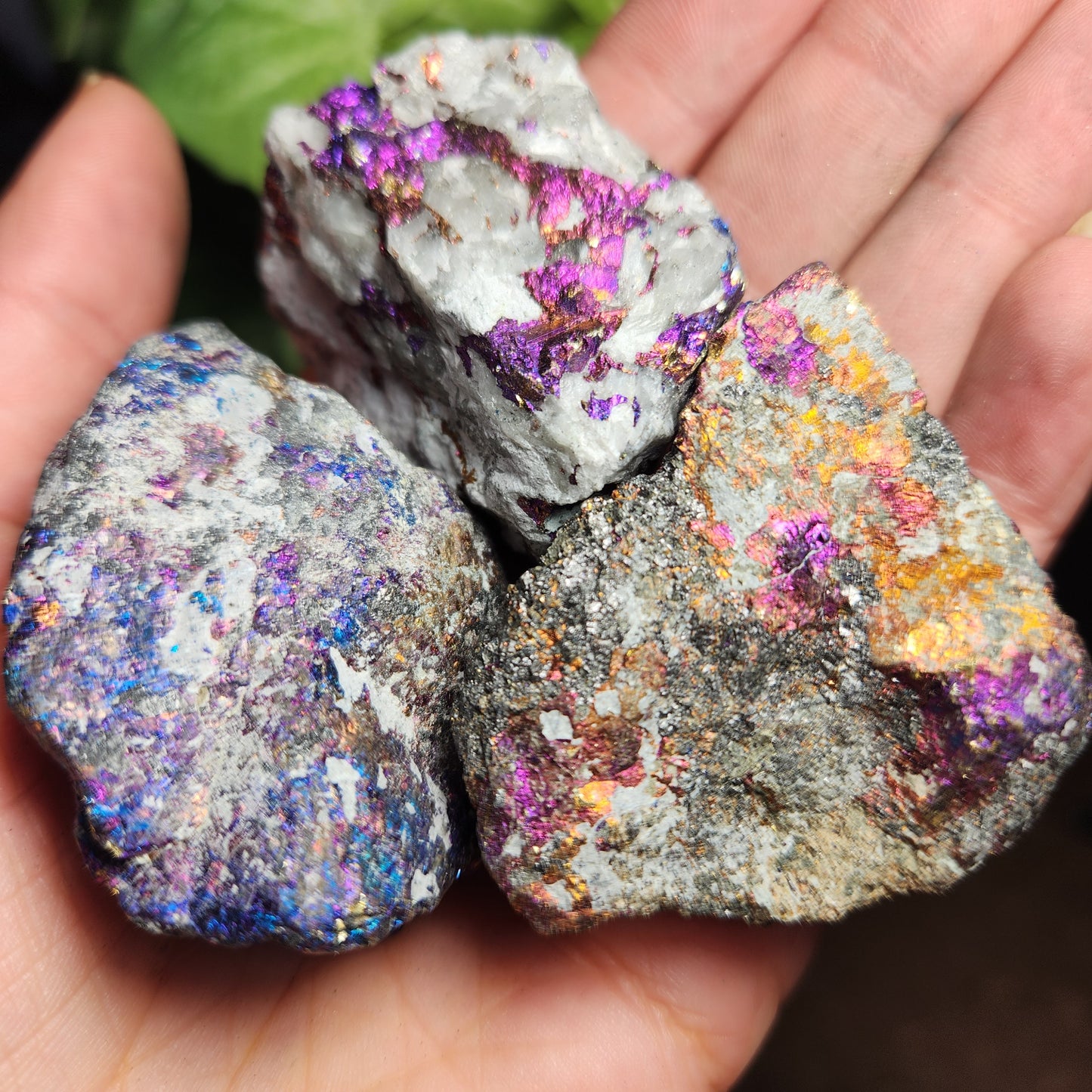 Peacock Ore