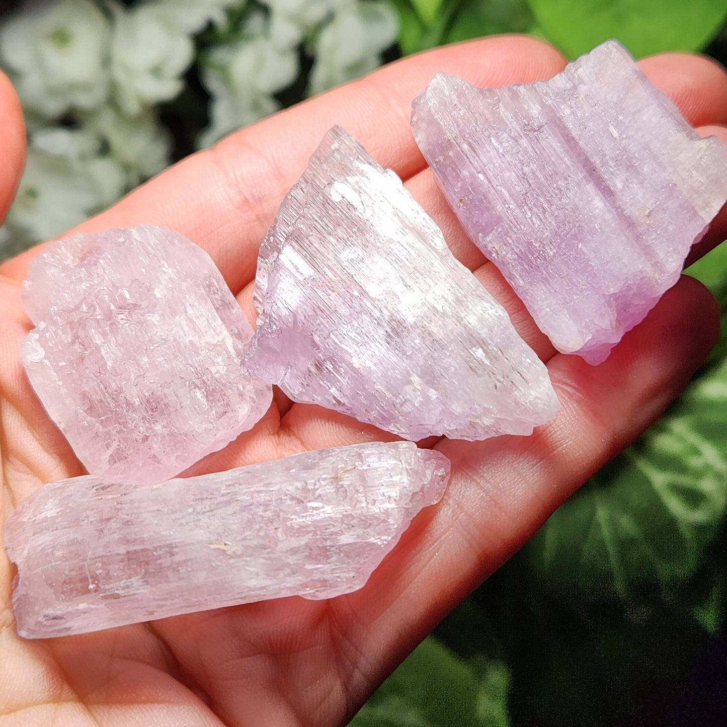XL Kunzite Crystal