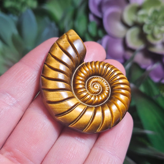 Tiger's Eye Nautilus Carving
