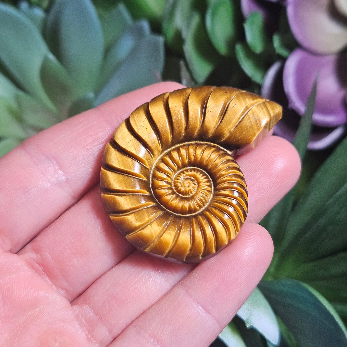 Tiger's Eye Nautilus Carving