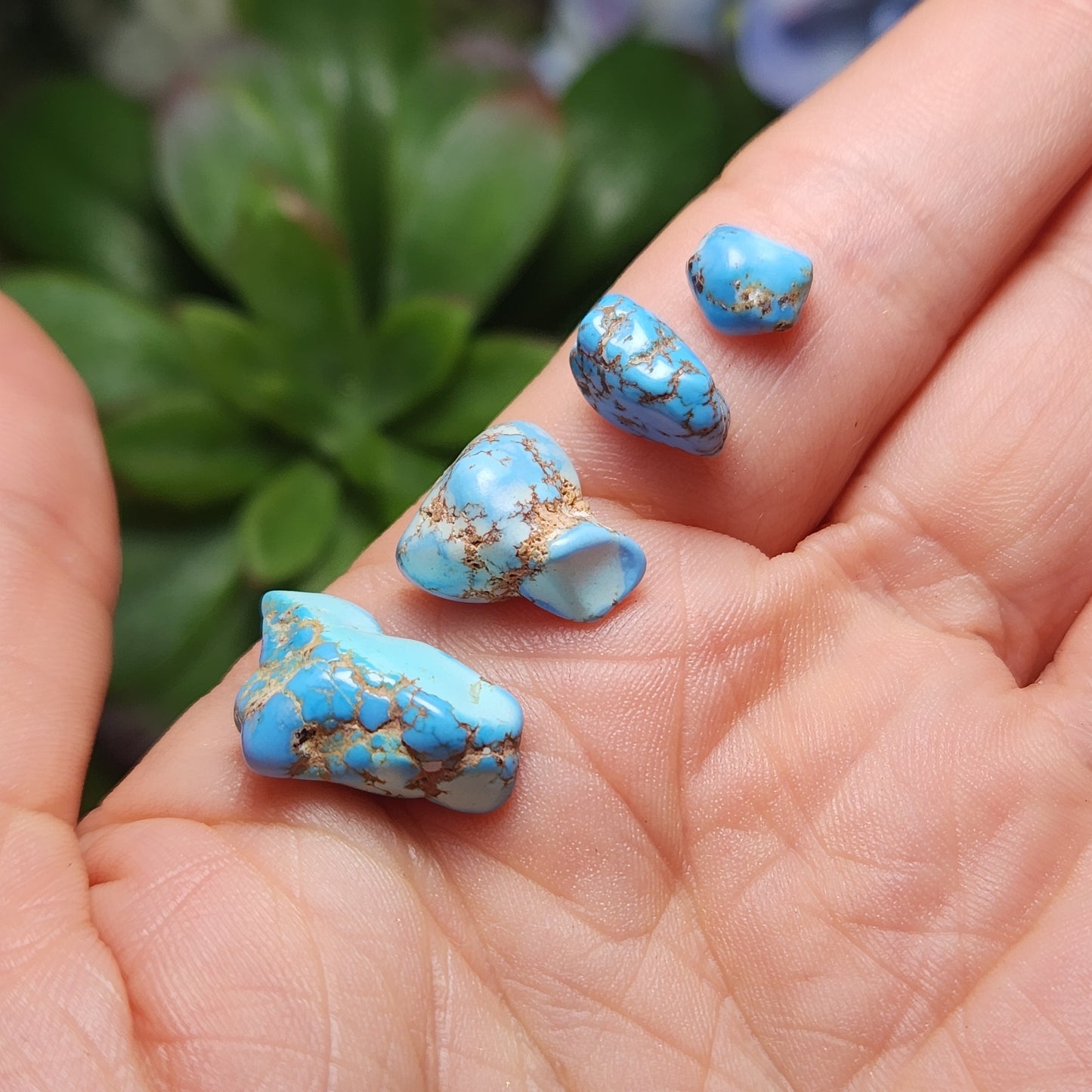 Golden Hills Turquoise