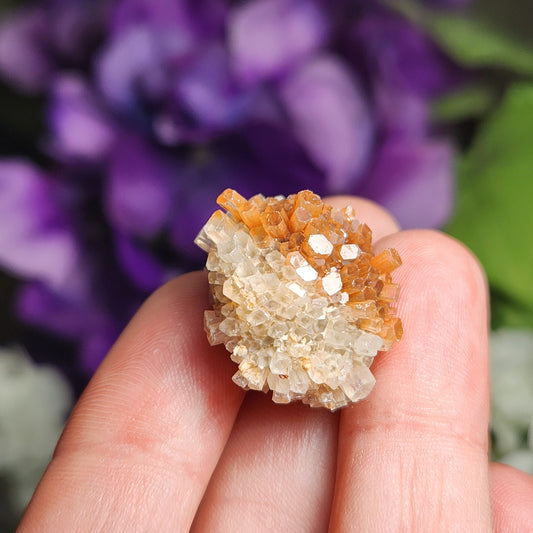 Bi-Color Aragonite Star Cluster Specimen