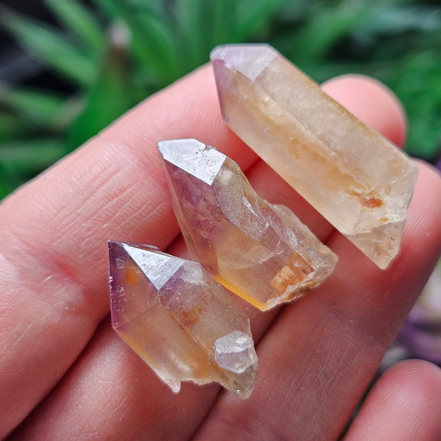 Purple Phantom Citrine Crystal