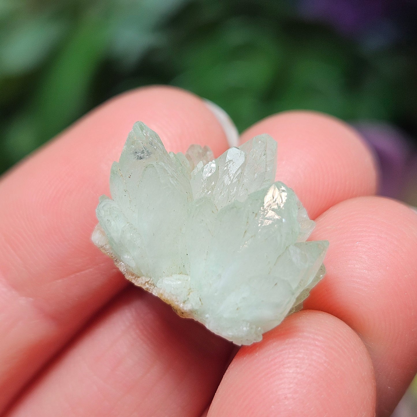 Green Apophyllite Crystal