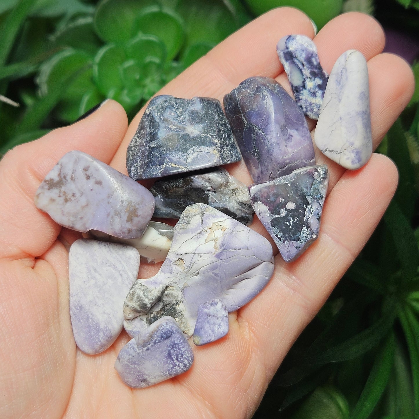 Tiffany Stone Specimen
