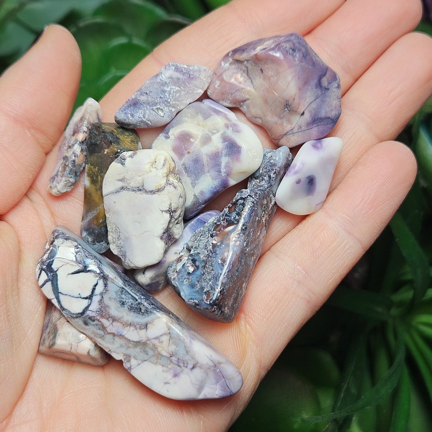 Tiffany Stone Specimen