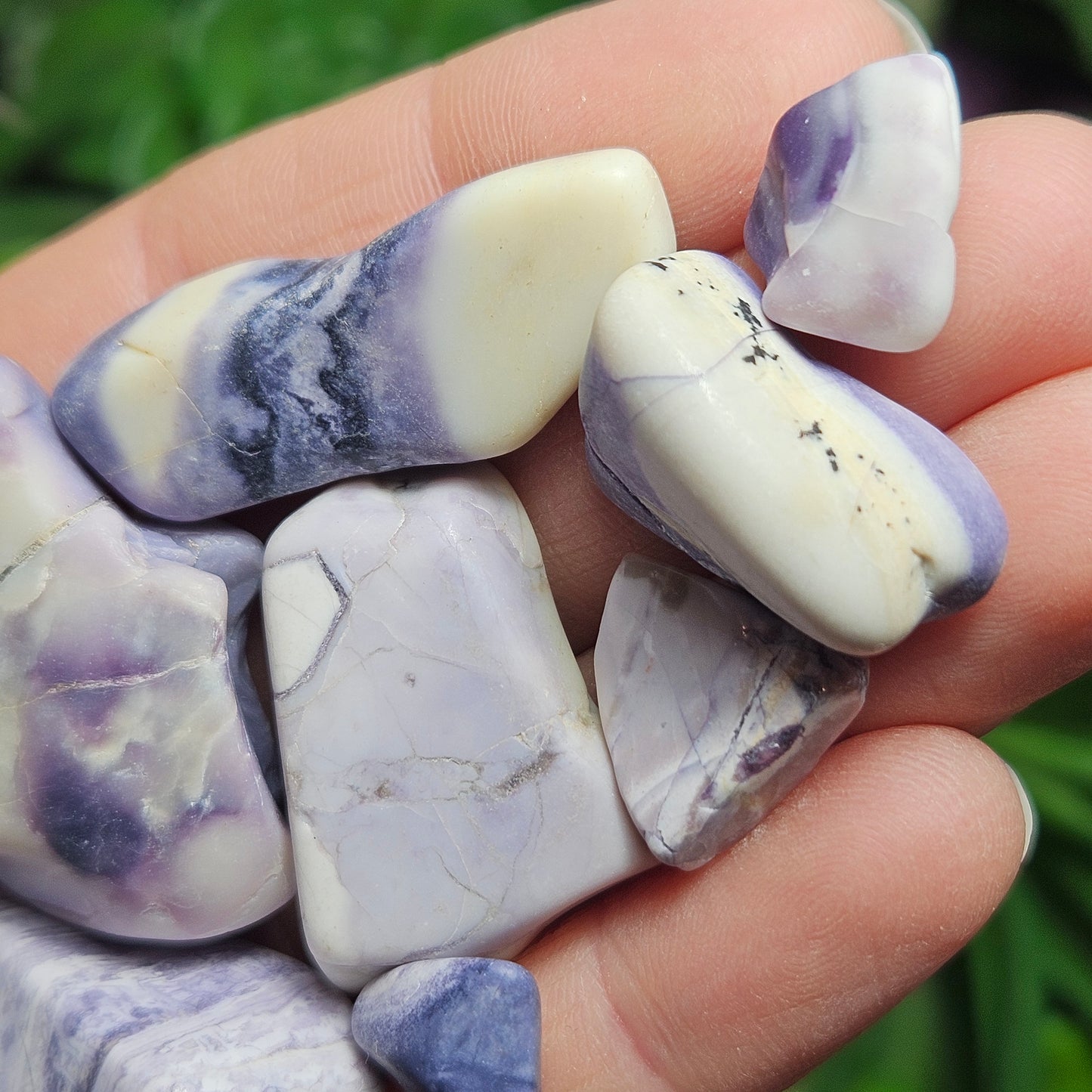 Tiffany Stone Specimen