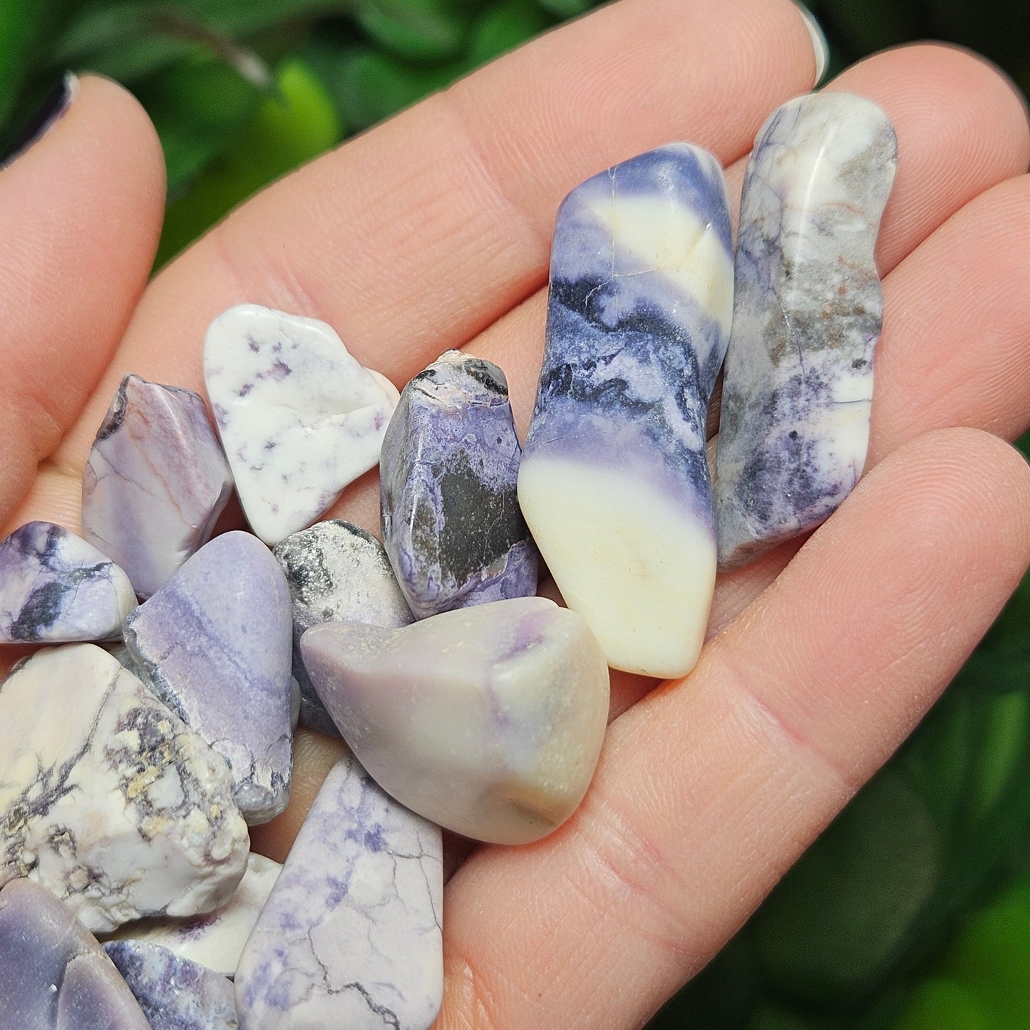 Tiffany Stone Specimen