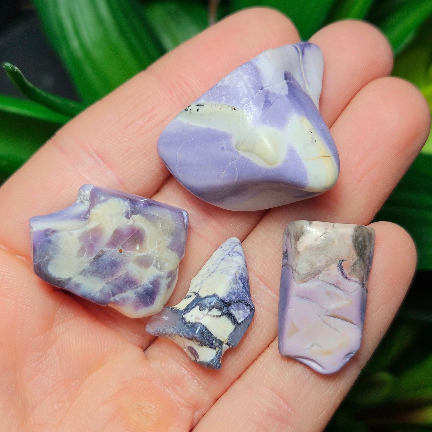 Tiffany Stone Specimen