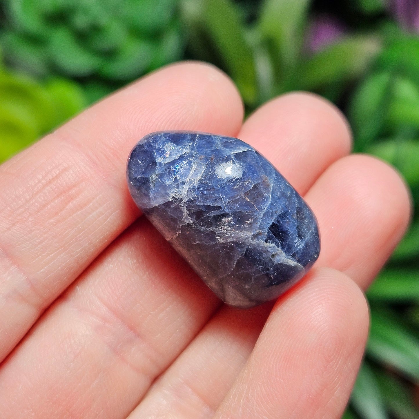 Tumbled Iolite