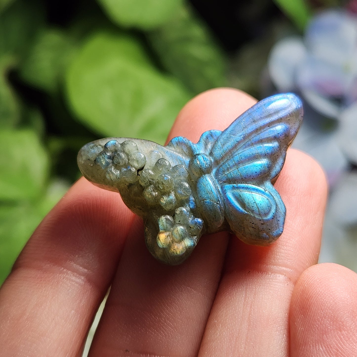 Butterfly Carving