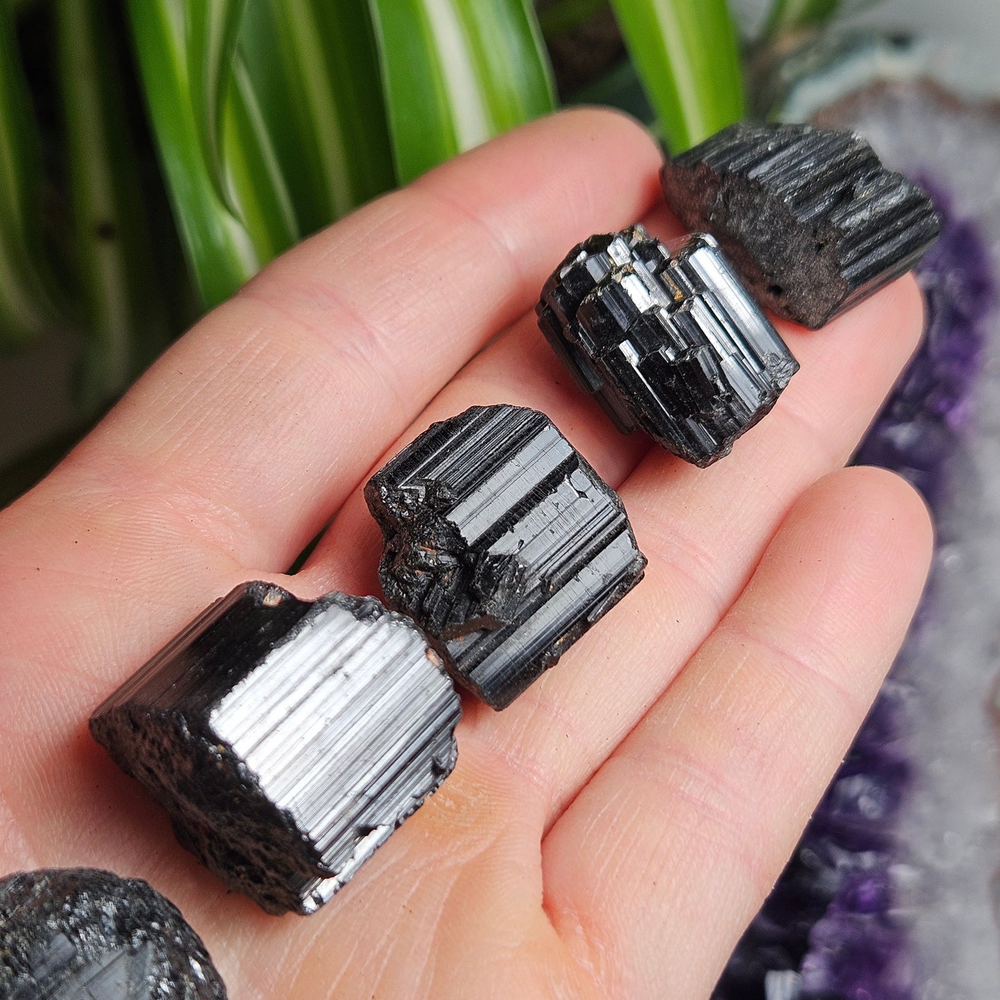 Raw Black Tourmaline Crystal