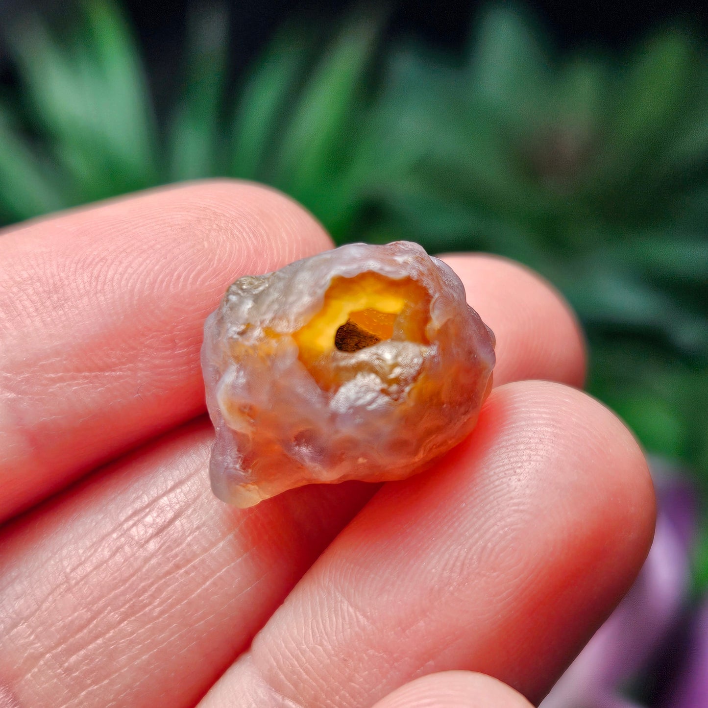RARE Gobi Agate