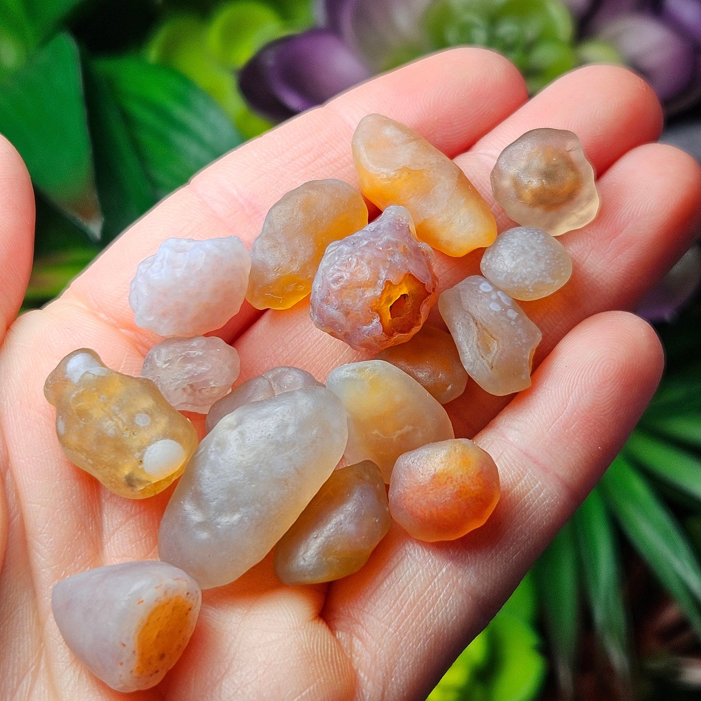 RARE Gobi Agate