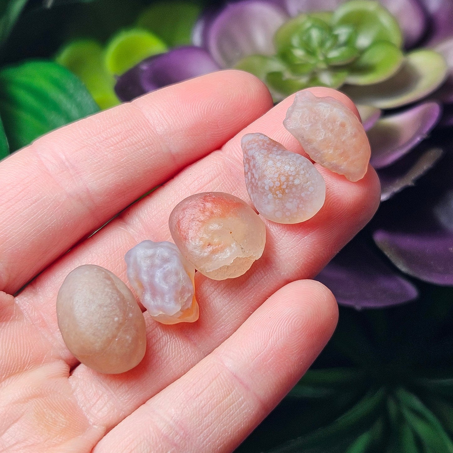 RARE Gobi Agate