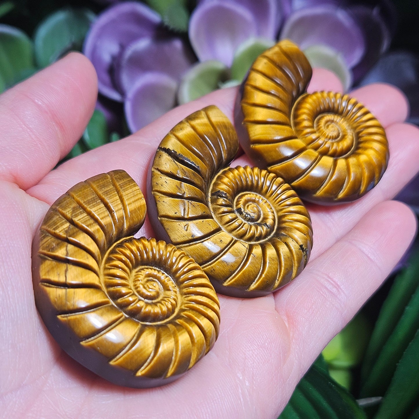 Tiger's Eye Nautilus Carving