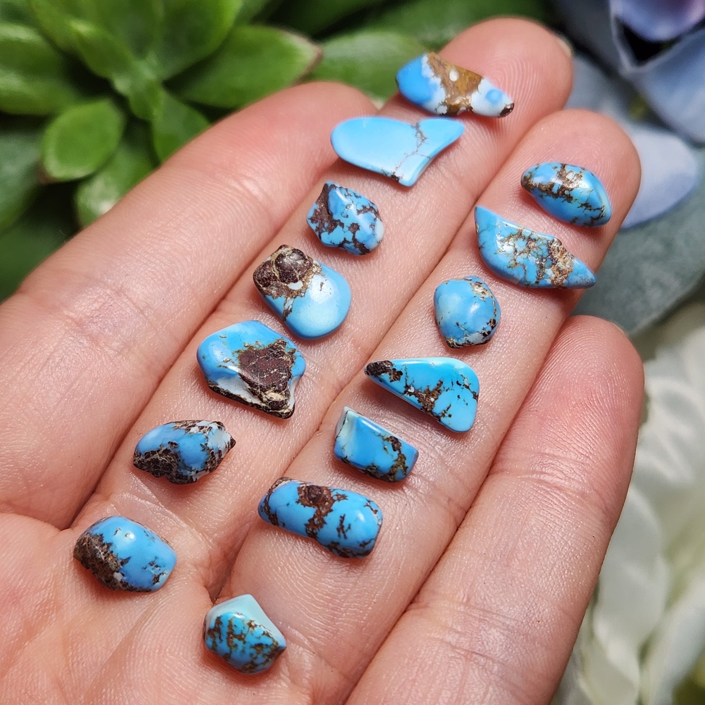 Golden Hills Turquoise