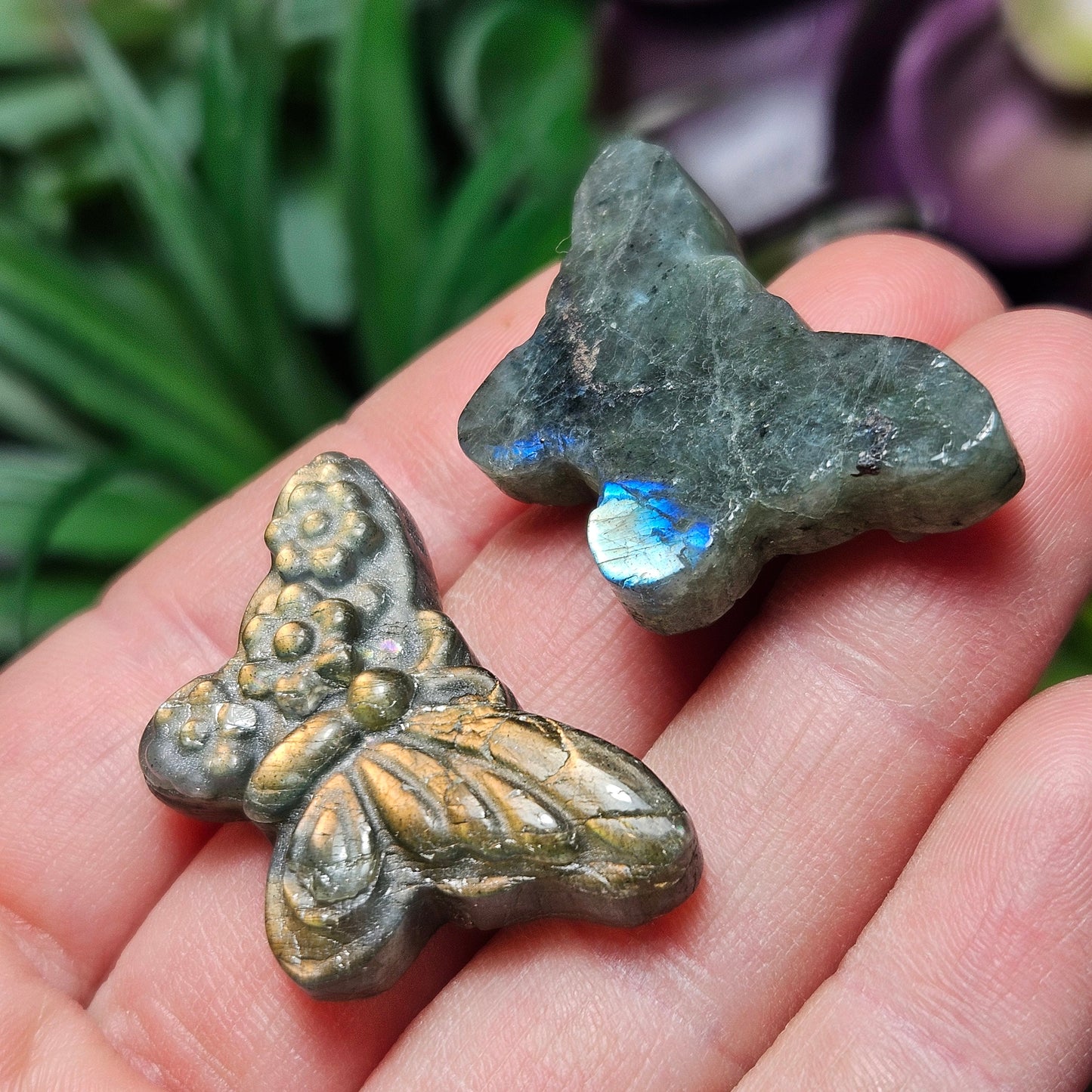 Butterfly Carving